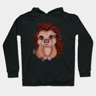 Cute hedgehog Hoodie